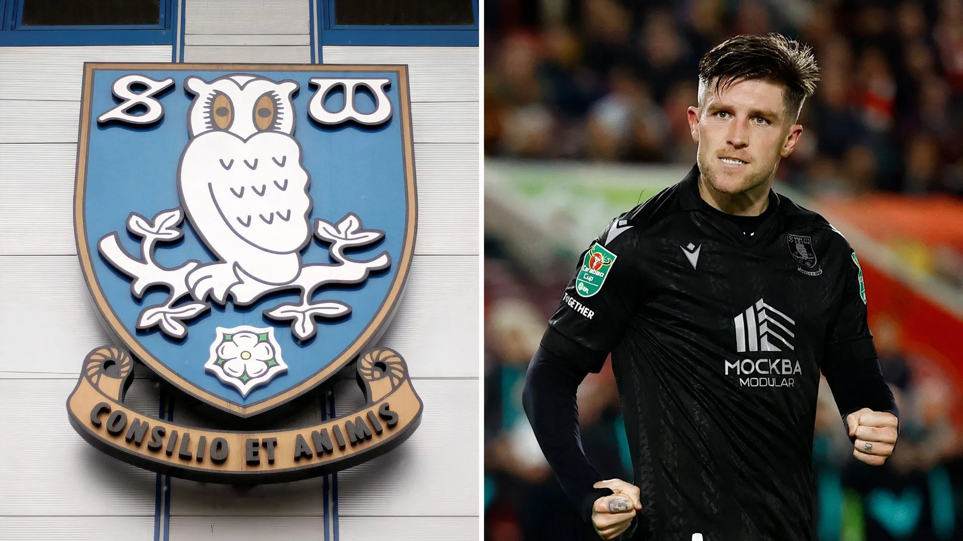 Josh Windass, cầu thủ trụ cột của Sheffield Wednesday, có thể rời đi sau khi hết hợp đồng