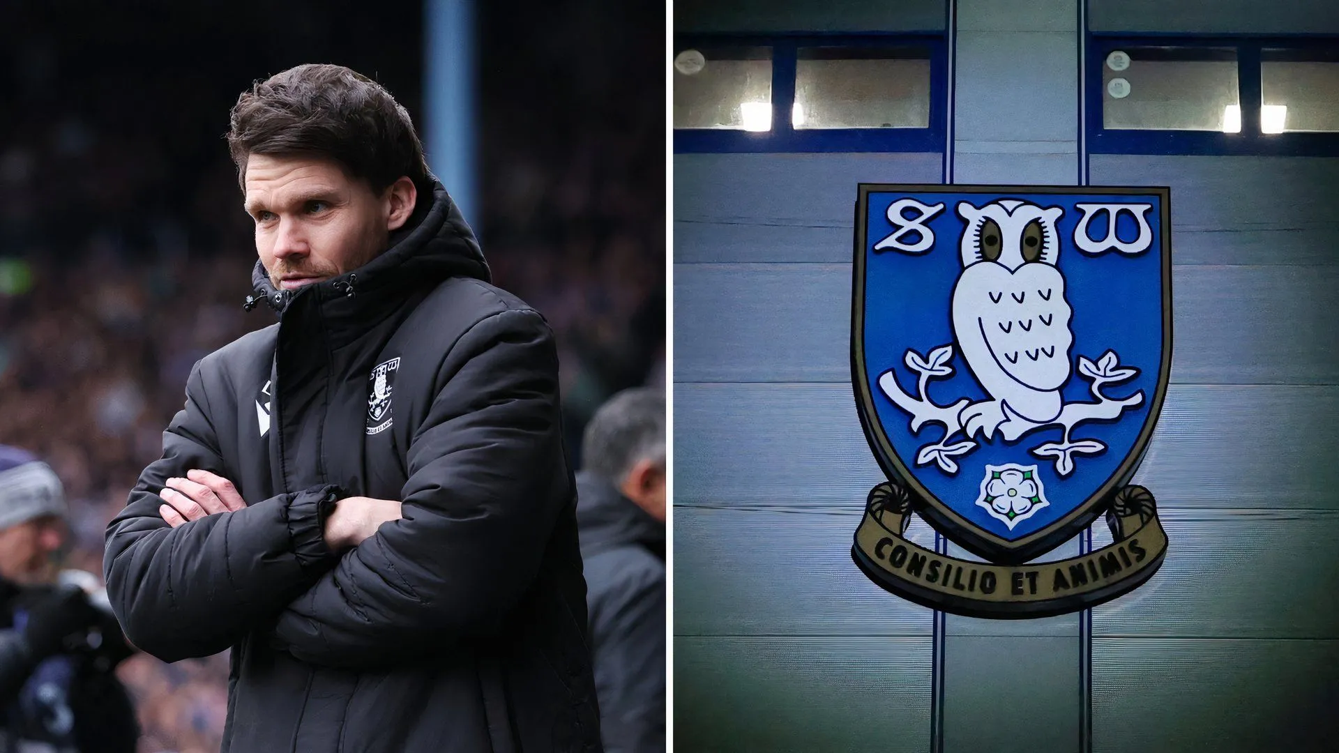 Huấn luyện viên Danny Rohl và logo Sheffield Wednesday.