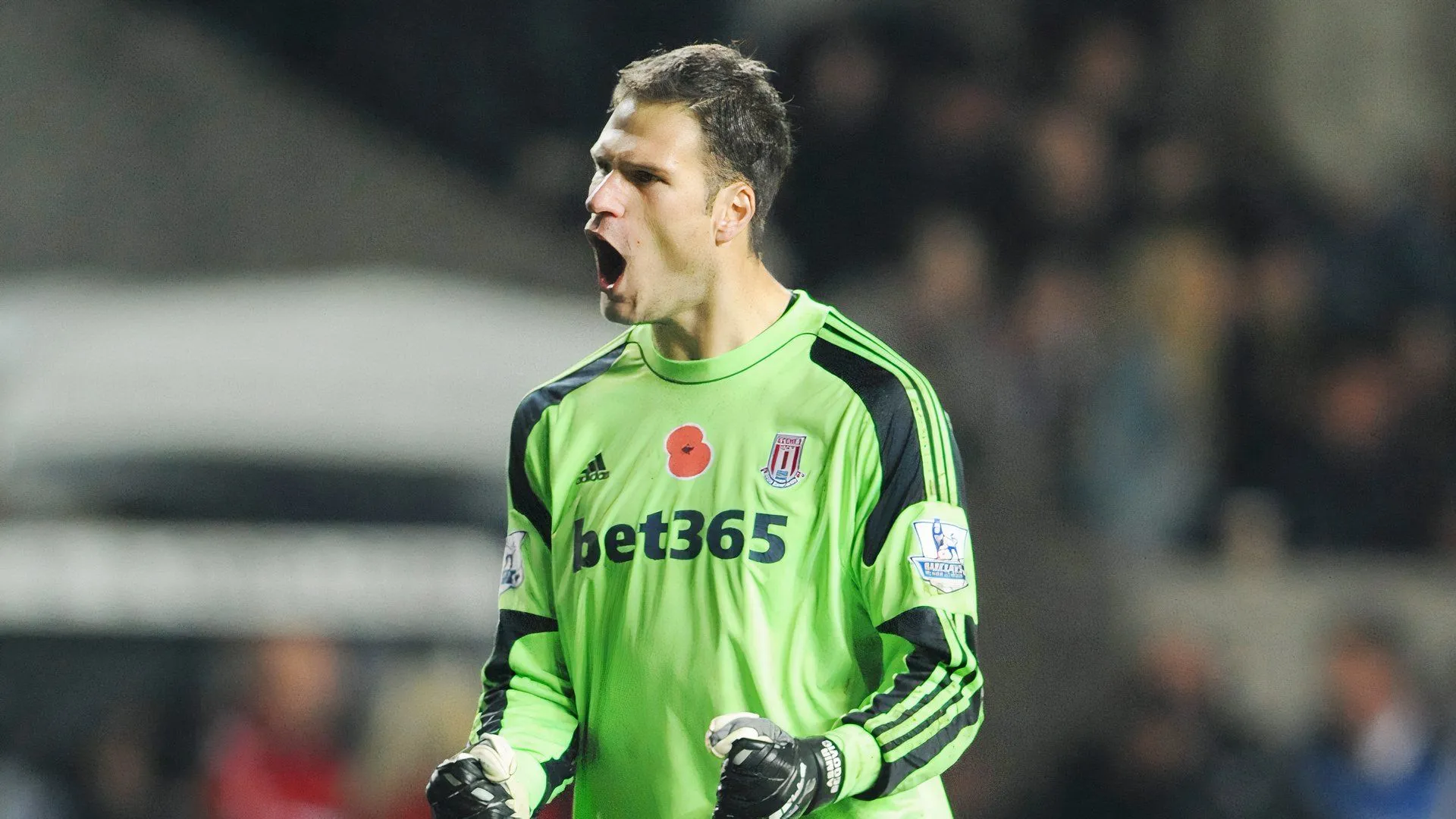 Thủ môn Asmir Begovic trong màu áo Stoke City, biểu tượng kinh nghiệm ở Ngoại hạng Anh.