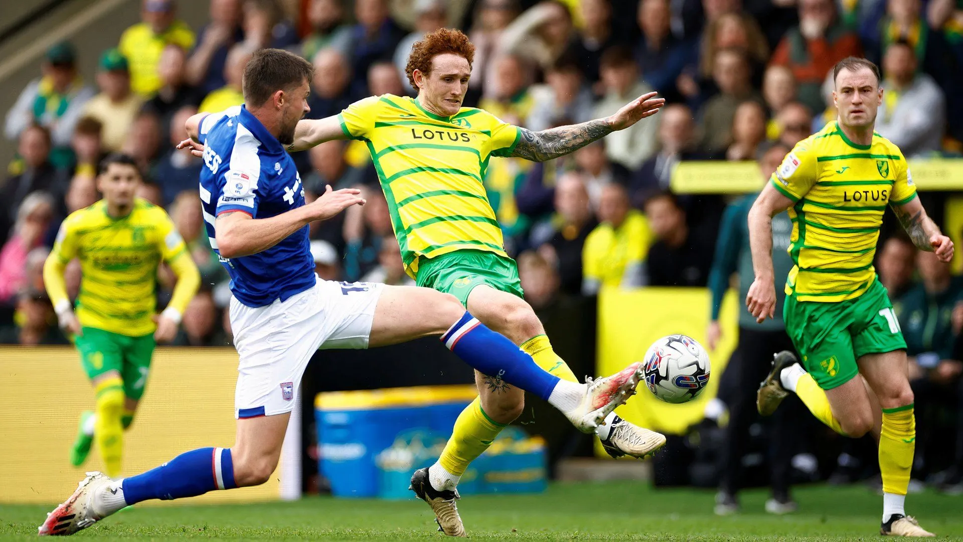 Tiền đạo Josh Sargent thi đấu năng nổ trong màu áo Norwich City
