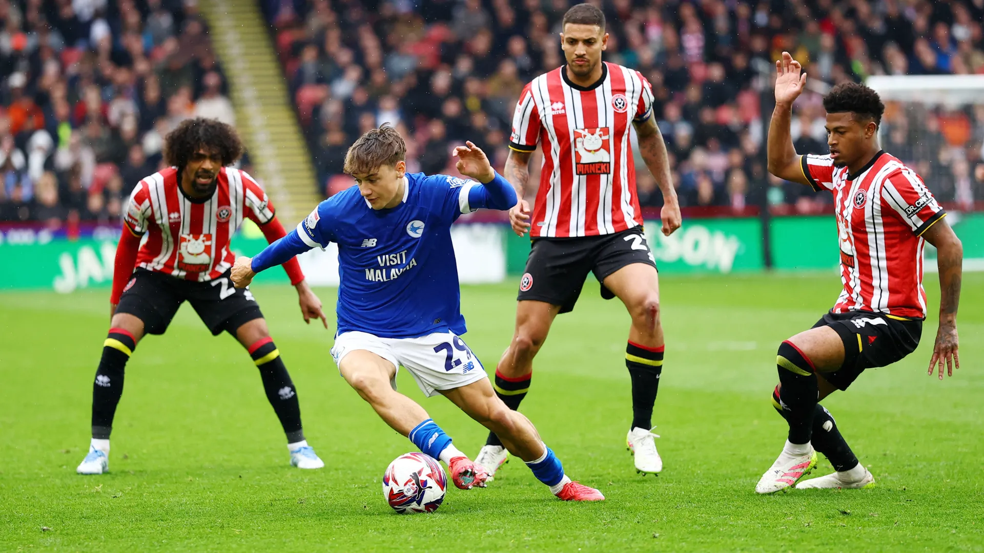 Will Alves trong màu áo Cardiff City, cho thấy kinh nghiệm thi đấu tại giải Championship dưới dạng cho mượn từ Leicester City.
